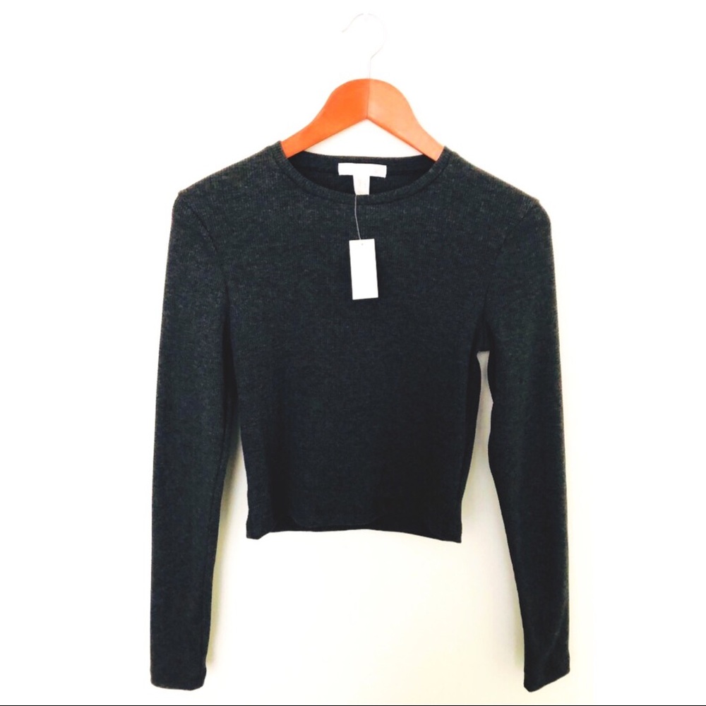 Long Sleeved Crop